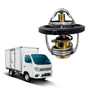 TERMOSTATO <br> FOTON TM3