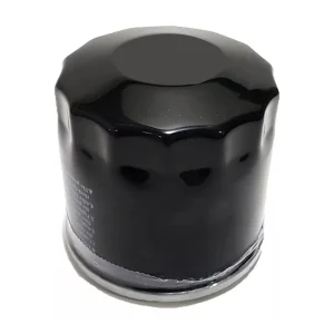 FILTRO DE ACEITE <br>FOTON TM3